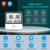 Tuya Temperature Humidity Meter Sensor